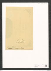 Surirella formosa Cleve (de-Toni-Nr.: Genus 53, Species 2285) Zeichnungen Sammlung Grunow (NHMW-BOT-W0372841)